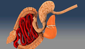 FDA批准内镜设备Hemospray上市 用于治疗胃肠道出血