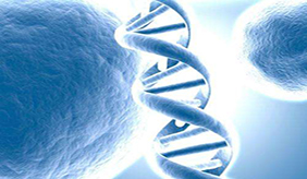 16种肿瘤遗传易感基因可筛查，三类肿瘤遗传几率大