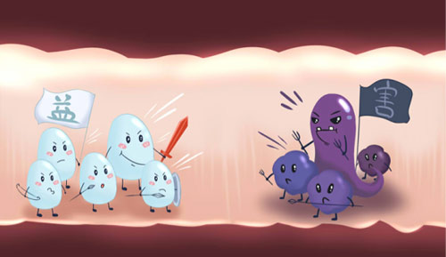 肠道菌群影响机体健康